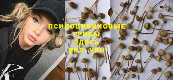 дживик Алексеевка