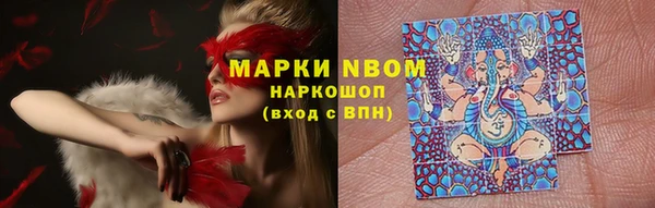 стаф Алзамай